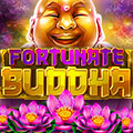 Winota free spins 
